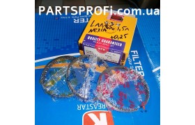 Кольца поршневые Ланос 1.5 / Авео 2 (T200) / Нексия 8 кл. к-кт, Ремонт (+0,25) NPR