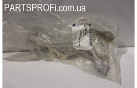 Петля капота прав. Эпика